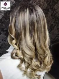 Haircuts & Styling