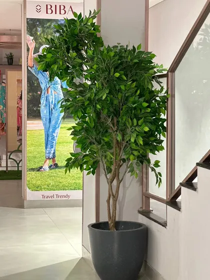 A tall, artificial Ficus tree placed near a staircase in a store. It adds a sense of height and natural elegance to the architectural features of the space.