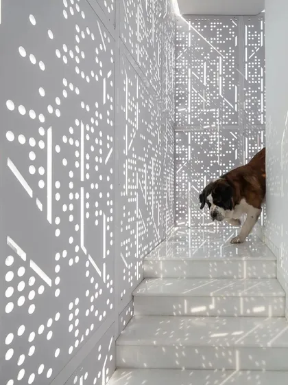 In the House Above The Tree, we designed a perforated screen that transforms sunlight into a dynamic pattern, creating an ever-changing mural of light and shadow. This stairwell becomes a playful and serene space, demonstrating our belief that even functional areas can be sources of beauty and delight. It's a space loved by all members of the family, including the furry ones.