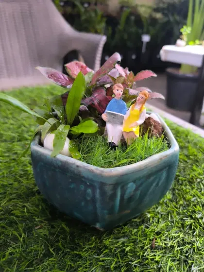 For Women's Day, we have a stunning array of plants to delight the special women in your life. From mini landscapes and terrariums to elegant potted plants, a green gift is a gift of life.