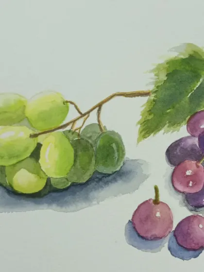 A realistic watercolour painting of green and purple grapes. In this piece, we focused on capturing the translucent quality of the fruit and the subtle variations in colour.