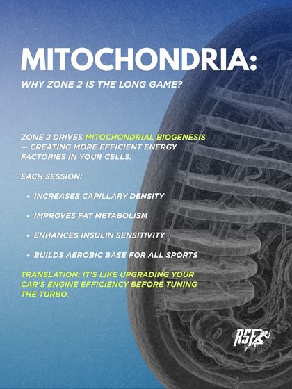 Our Training Philosophy & Systems photo 7