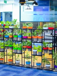 Plant Rental & Maintenance