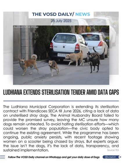 The Ludhiana Municipal Corporation has extended its sterilization contract due to a lack of data on unsterilized dogs. Experts argue the issue isn't the dogs, but the lack of data, transparency, and sustained implementation.