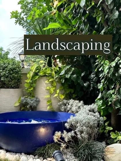 This landscape design incorporates a vibrant blue water bowl as a focal point, surrounded by lush greenery and flowering creepers. It demonstrates how I combine different elements to create a dynamic and serene outdoor retreat.