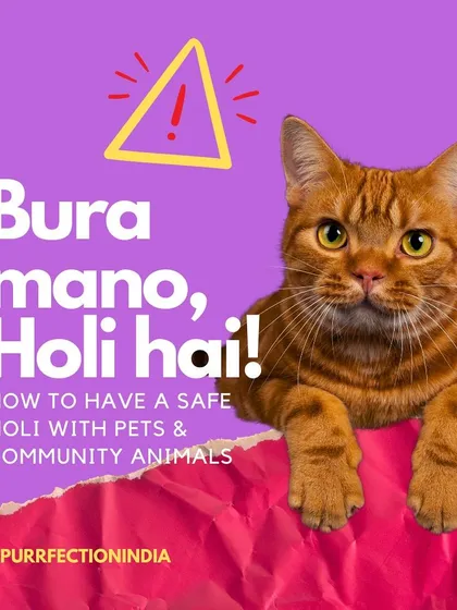 A quick PSA for the festive season! Let's make sure our furry friends, both at home and on the streets, are safe during Holi. Keep the colours and the water balloons away from them, please.