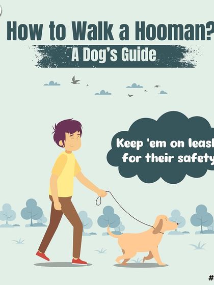 A dog's guide to walking a hooman: always keep them on a leash for their own safety. It's a funny flip of perspective on our daily walks.