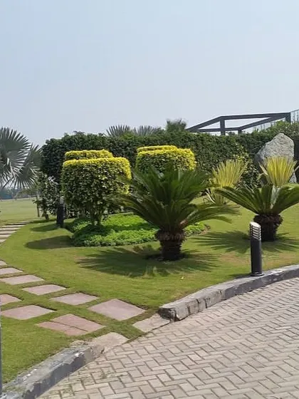 A meandering stone path invites you to explore the garden. In this project, I used shaped shrubs, cycads, and path lighting to create a pleasant walk through a well-manicured landscape.