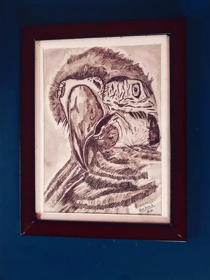 A collection of my other framed A4 size zentangle and sketch artworks, including various animals and patterns.