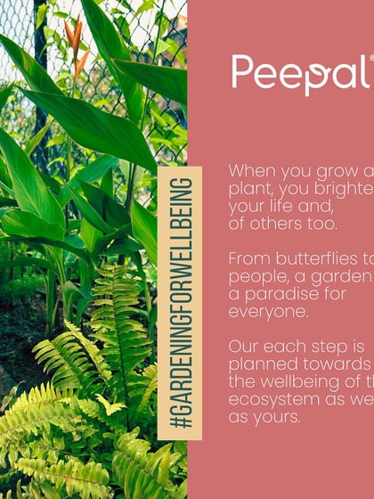 Garden Inspiration & Ideas photo 10