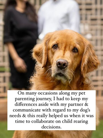 Nitika Ahlawat - Dog and Child Safety & Integration Our Family Album photo 15