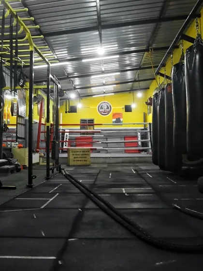 This is our arena. The Iron Fist Fight Club gym is built for one purpose: to forge warriors. With a professional ring, heavy bags, and all the right equipment, this is where our students put in the sweat to make their dreams a reality.