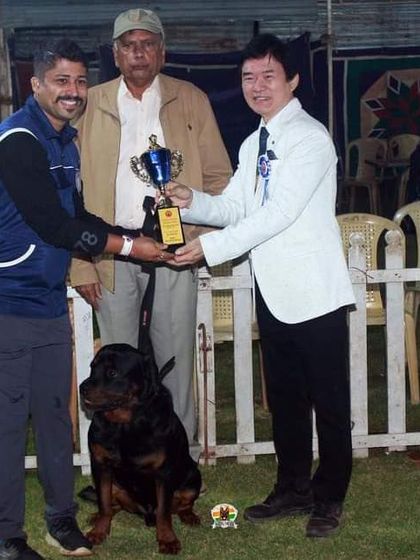 K9 Gurukul - Dog Training for Shows & Media Champions of the Show Ring photo 20