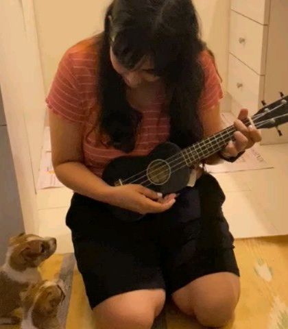 Fostering these two adorable puppies, Tobasco and Cider, was a magical experience. Here I am giving them a little ukulele concert.