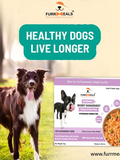 Healthy dogs live longer, it's that simple. My VetBlend+ Weight Management formula is designed to help your dog shed excess weight, boosting their metabolism and supporting their joints for a longer, happier life.