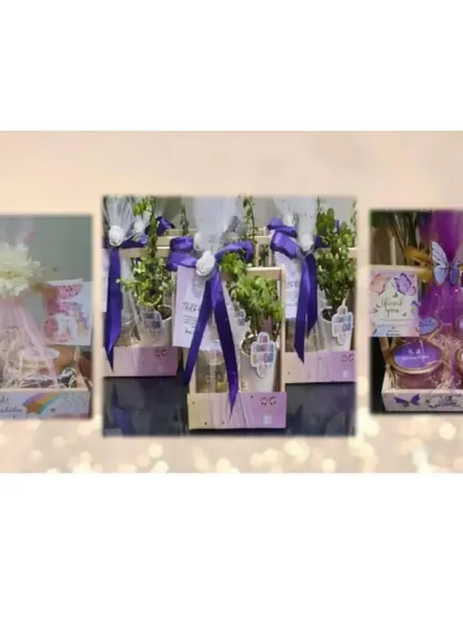 A glimpse into our thematic gifting options. We design hampers to match any concept, from whimsical unicorn and butterfly trays for birthdays to elegant eco-friendly plant gifts for green-themed events.