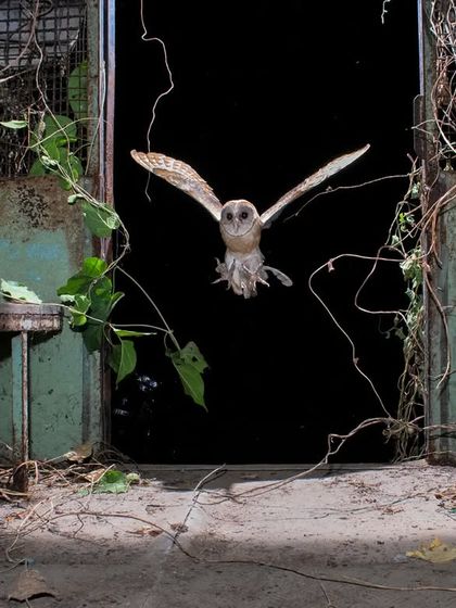 On Safari With Me: Behind the Lens photo 13