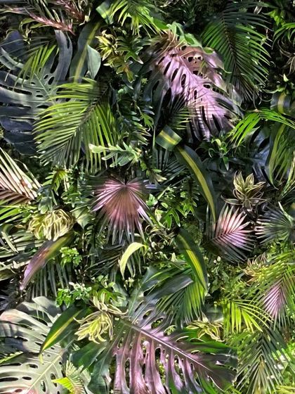 A close-up of the tropical foliage wall, showing a rich texture of different leaves, including monstera and palm, creating a dense, jungle-like feel.