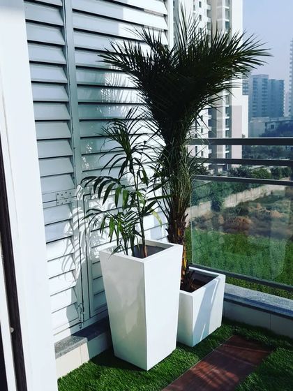 Even a narrow corner can be beautified. A simple setup with two tall planters adds a touch of green against the louvered wall.