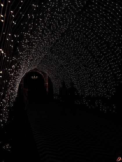 Chic Sangeet & Cocktail Nights photo 11