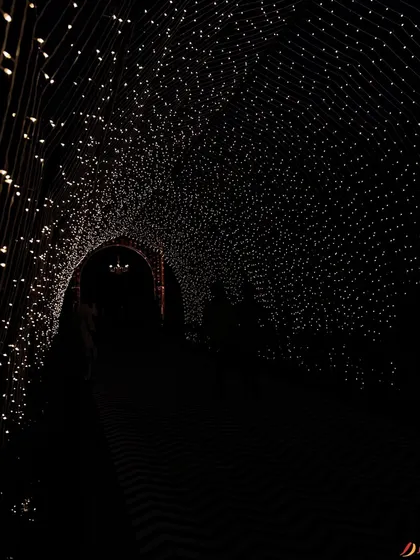 A tunnel of a thousand stars to welcome guests. I used countless fairy lights to create this immersive entrance, building a sense of wonder and magic from the moment guests arrive.