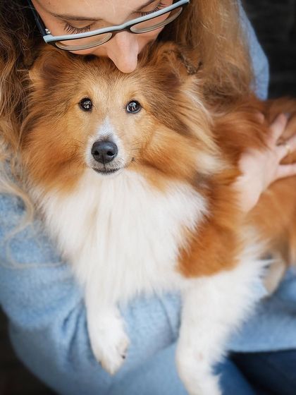 Rohit - Family & Pet Photography Paws & Personalities: Solo Pet Portraits photo 20