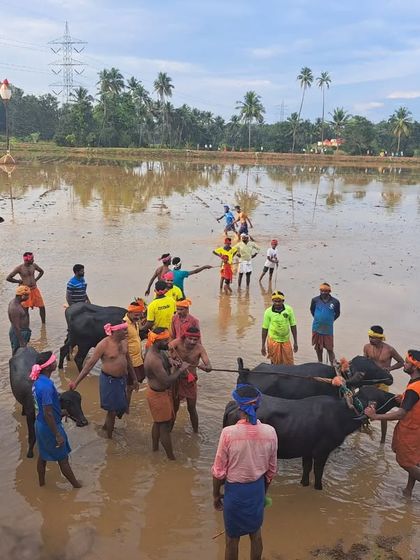 Sneha Kappanna - Folk Dance Consultancy & Curation Cultural Fieldwork: Documenting Living Traditions photo 49