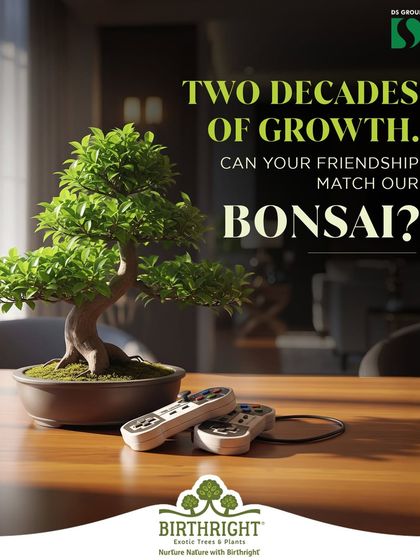 Two decades of growth, through thick and thin. Can your friendship match the resilience of our bonsai? I curate these miniature trees to honor long lasting bonds that have weathered every season together.