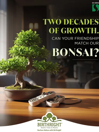 This bonsai has been growing for two decades, a symbol of consistent growth and care. We offer these as gifts that reflect the beauty of a long and nurtured friendship.