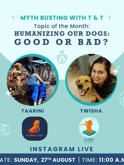 Furry Story - Pet Sitter & Home Boarder Training Resources for Pet Parents & Sitters photo 7