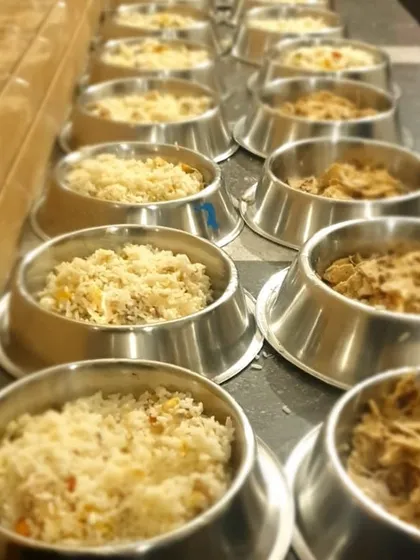 Mealtime is serious business and a highlight of the day. We prepare fresh, home-cooked meals right here in our kitchen, with options for both vegetarian and non-vegetarian diets. Each bowl is portioned to ensure every pet gets a healthy, delicious, and satisfying meal.