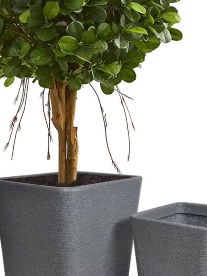 These tapered square planters in a textured grey finish are a classic choice for framing an entryway or lining a patio. Their timeless design works well in both modern and traditional settings.