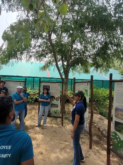 A team member from Valvoline Cummins listens to a briefing at the nursery, learning about the forgotten forest species we are dedicated to growing.