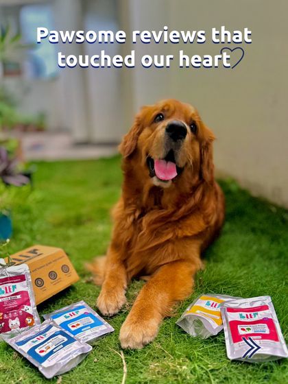 A happy Tibetan Mastiff surrounded by his favorite meals. These are the pawsome reviews that touch our hearts.