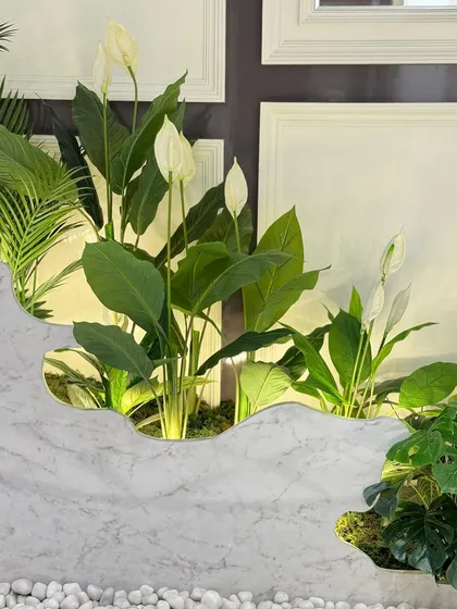 The elegant white blooms of the Peace Lily stand out against the custom-cut marble divider, adding a touch of softness and sophistication to the under-staircase installation.