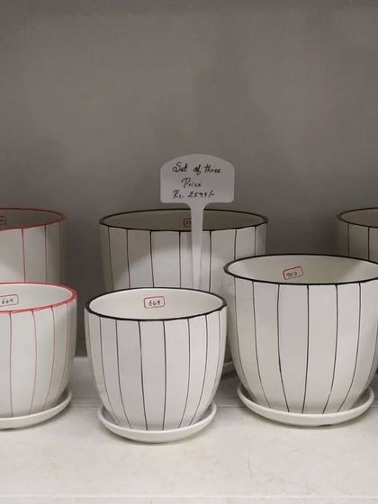 Pots & Planters Collection photo 6