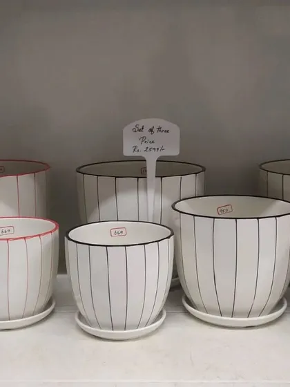 These ceramic pots are also available with a black striped pattern. You can mix and match colors or create a uniform look with these versatile planters.