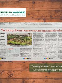 Gardening Workshops