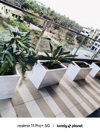 The Garden Hub - Garden Maintenance Balcony & Terrace Makeovers photo 5