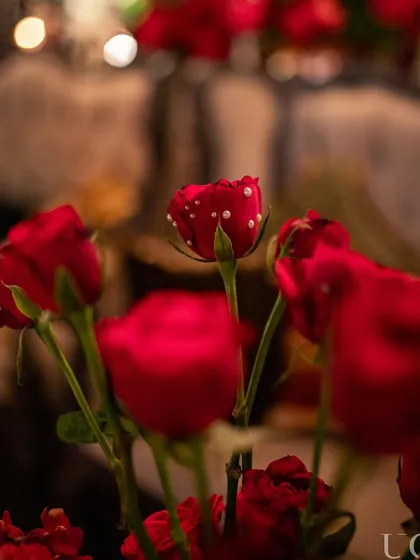 In a crowd of roses, be the one with pearls. We added this tiny, unexpected detail to a single red rose, creating a delightful and unique surprise within the floral arrangements.