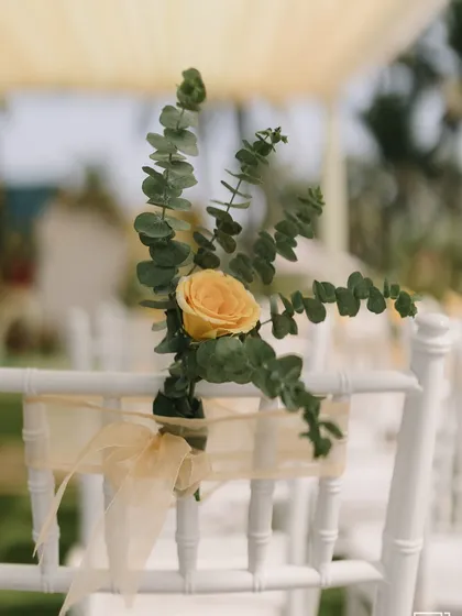 A simple yet elegant detail: a single yellow rose and eucalyptus leaves tied to a guest's chair with a delicate ribbon.
