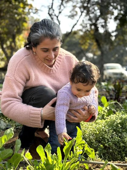 Farmus - Farm-Fresh Produce & Products A Classroom in Nature: School Trips & Workshops photo 8