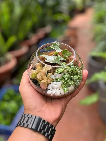 It's that time of year when we get busy with bulk Diwali gifting orders for our corporate clients. These small, elegant terrariums make for a perfect, sustainable, and memorable gift.