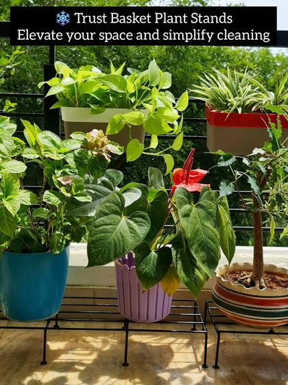 Sushma Reddy - Gardening Product Sourcing & Reviews Essential Tools & Garden Decor photo 3