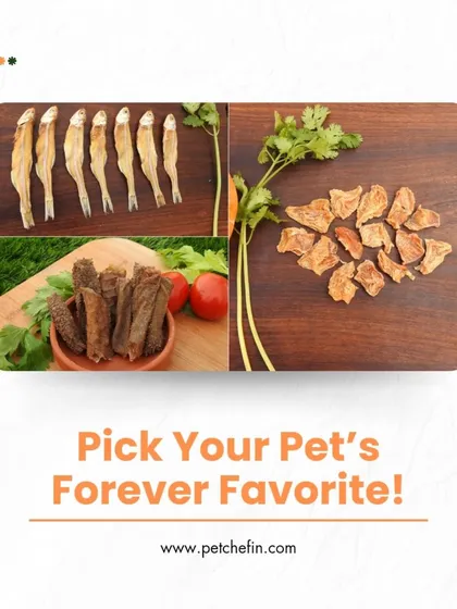 From protein-packed Chicken Jerky to omega-rich Anchovies and gut-friendly Mutton Tripe, our variety ensures there's a perfect treat for every pet's needs and preferences. We make it easy to mix things up and keep snack time exciting.