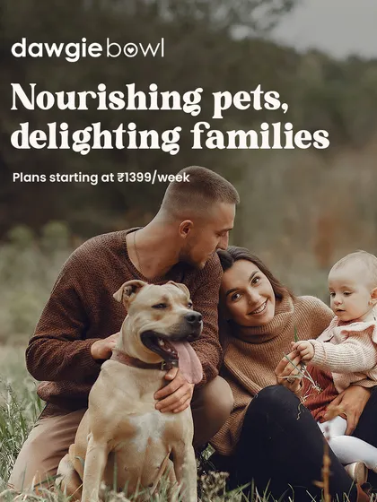 Our pets are cherished members of the family, and feeding them well is an act of love that brings the whole family joy. I love seeing families thrive, knowing their furry companions are nourished with wholesome, balanced meals that support a long, happy life together. 🌟