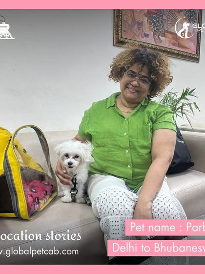 Global Pet Cab - Domestic Pet Relocation Train Travel: First-Class Coupe Journeys photo 21