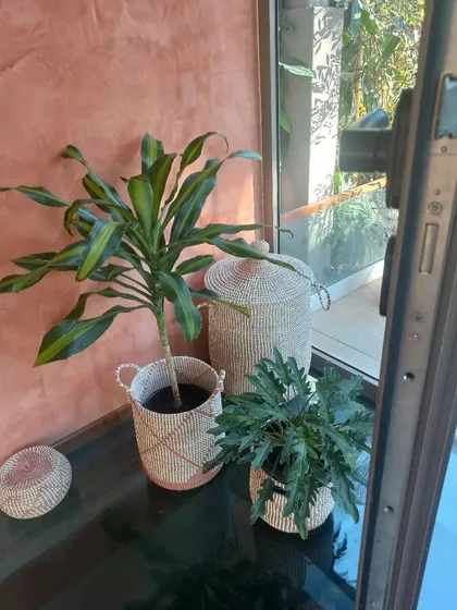 This corner demonstrates my love for natural textures and a relaxed, Boho aesthetic. I paired a Dracaena and a Philodendron with hand-woven wicker baskets to complement the warm, earthy tones of the wall. This approach adds a layer of softness and calm to any living space.