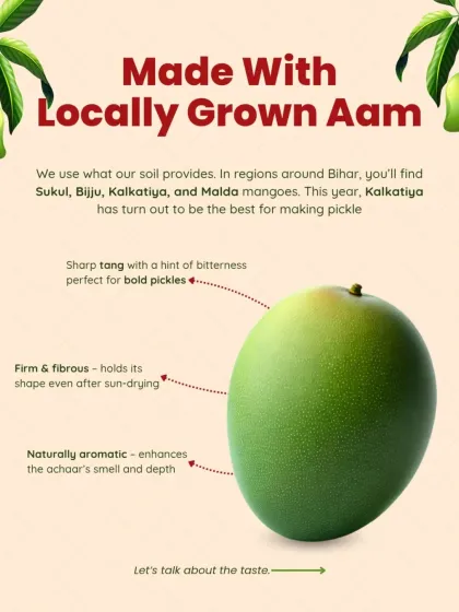 We use locally grown Kalkatiya mangoes from Bihar for our pickles. This variety has a sharp tang, a firm and fibrous texture that holds its shape after sun-drying, and a natural aroma that enhances the achar's depth.