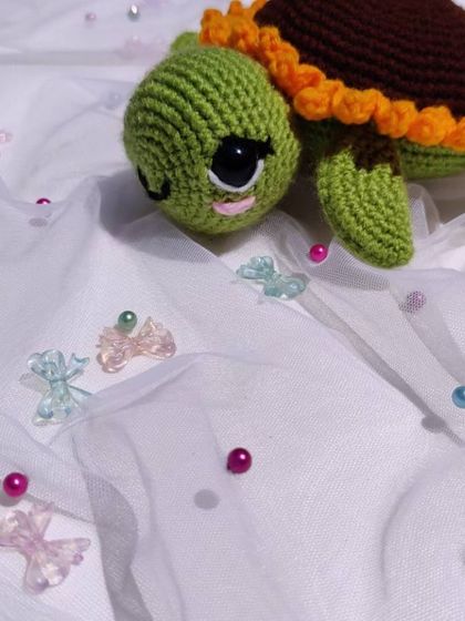 A close-up on the sweet, eyelash-adorned face of the sunflower turtle.